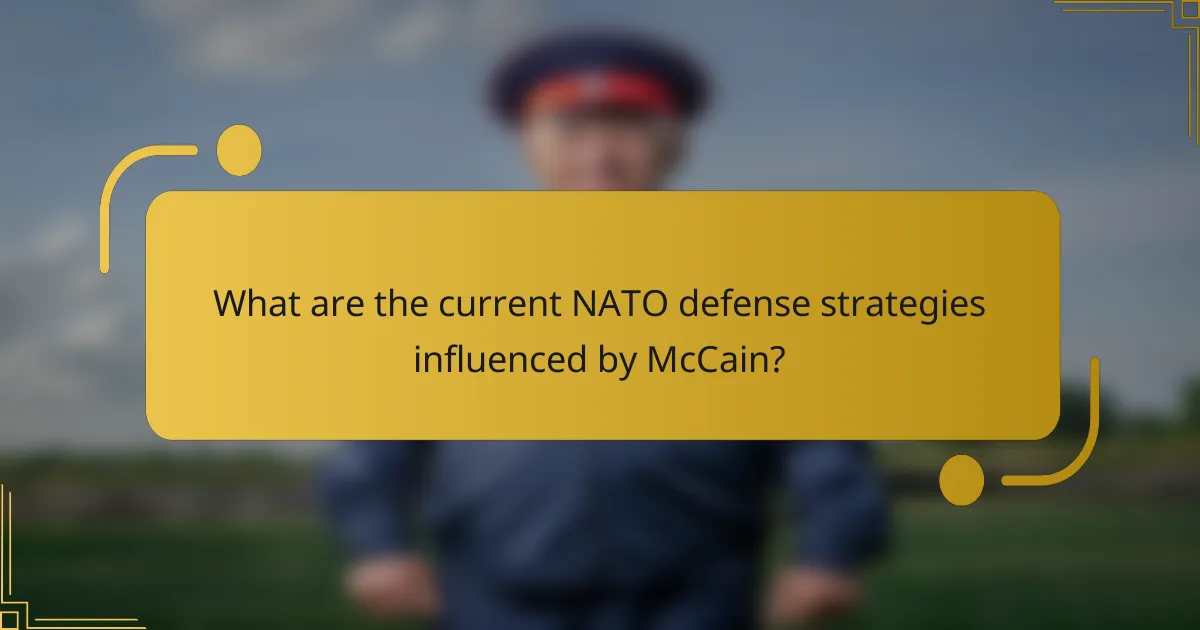 What are the current NATO defense strategies influenced by McCain?