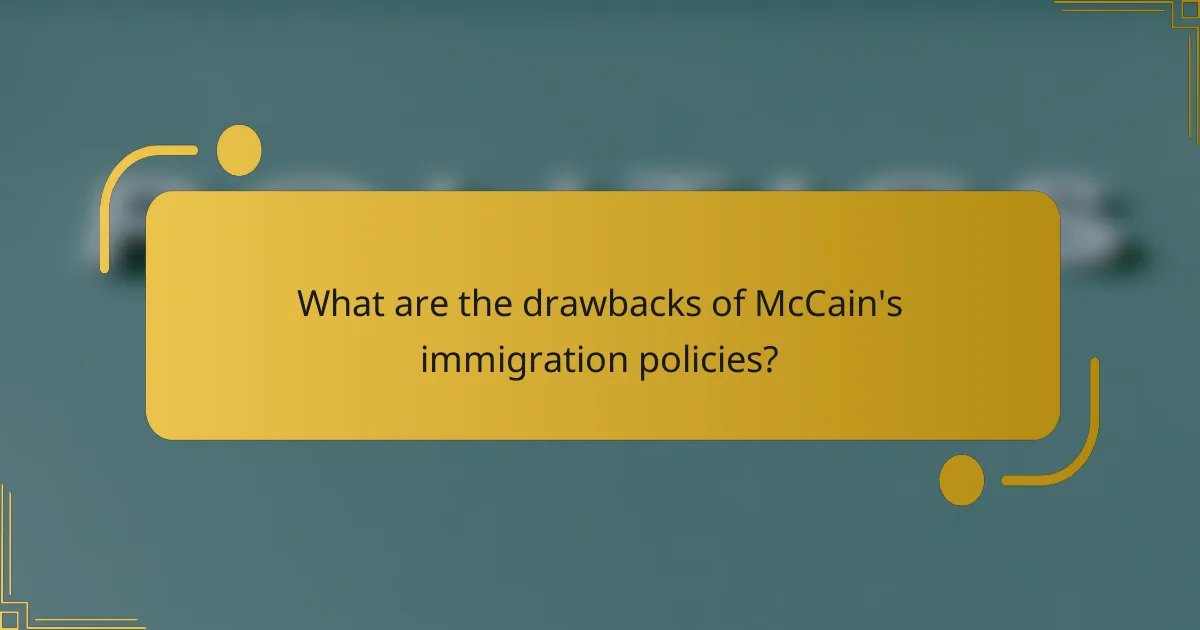 What are the drawbacks of McCain's immigration policies?